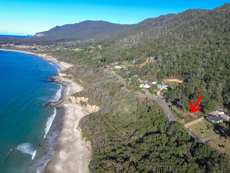 74 Blowhole Road, Eaglehawk Neck TAS 7179, Image 0