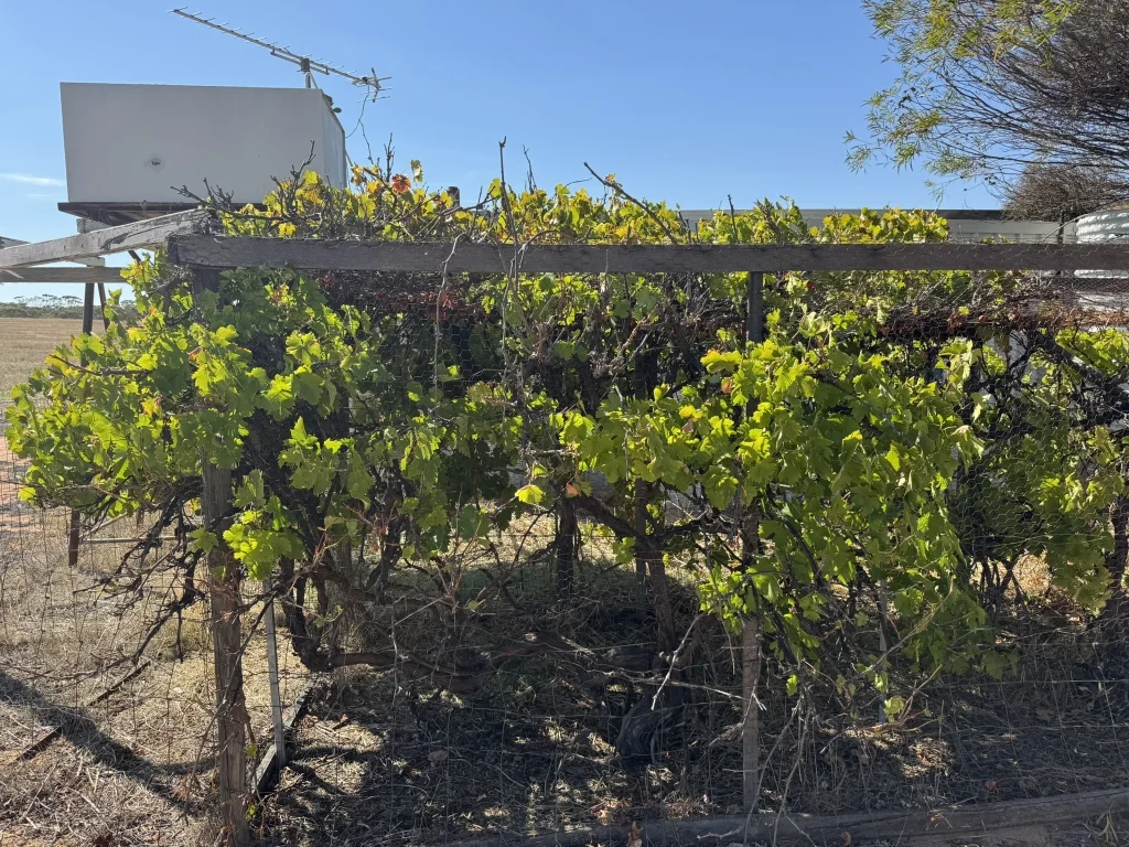 Additional image 20 of 75 Rickeys Road, East Beverley WA 6304