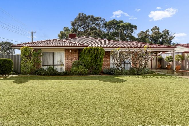 Picture of 1 Keppell Mews, ROCKINGHAM WA 6168