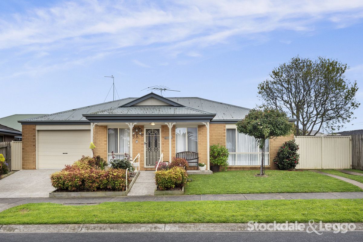 31 Nash Avenue, Drysdale VIC 3222, Image 0