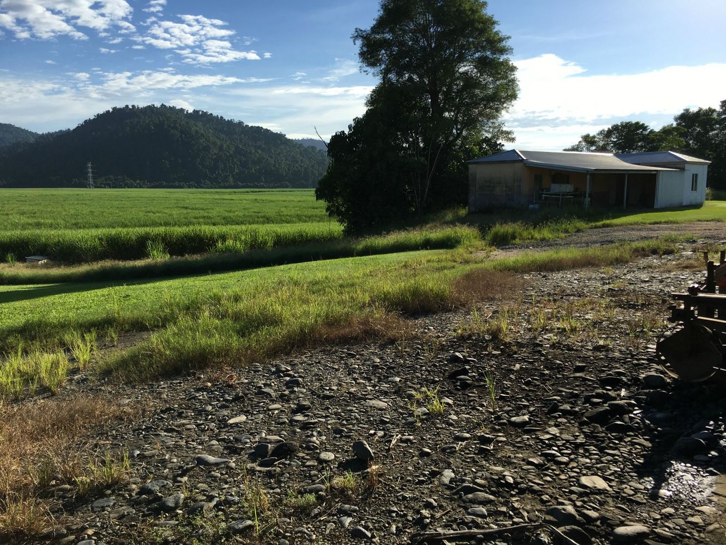 Silkwood QLD 4856 house for Sale, P.O.A. 2013491817 Domain