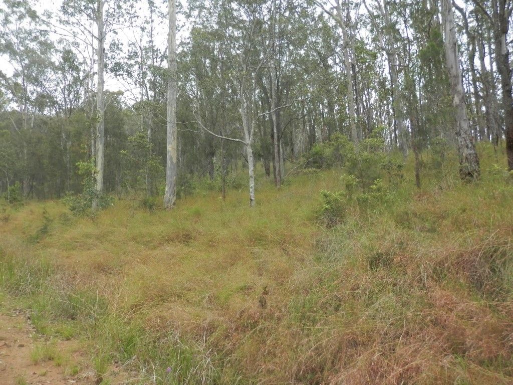 Lot 11 Cyril Smith Circuit, Tabulam NSW 2469, Image 1