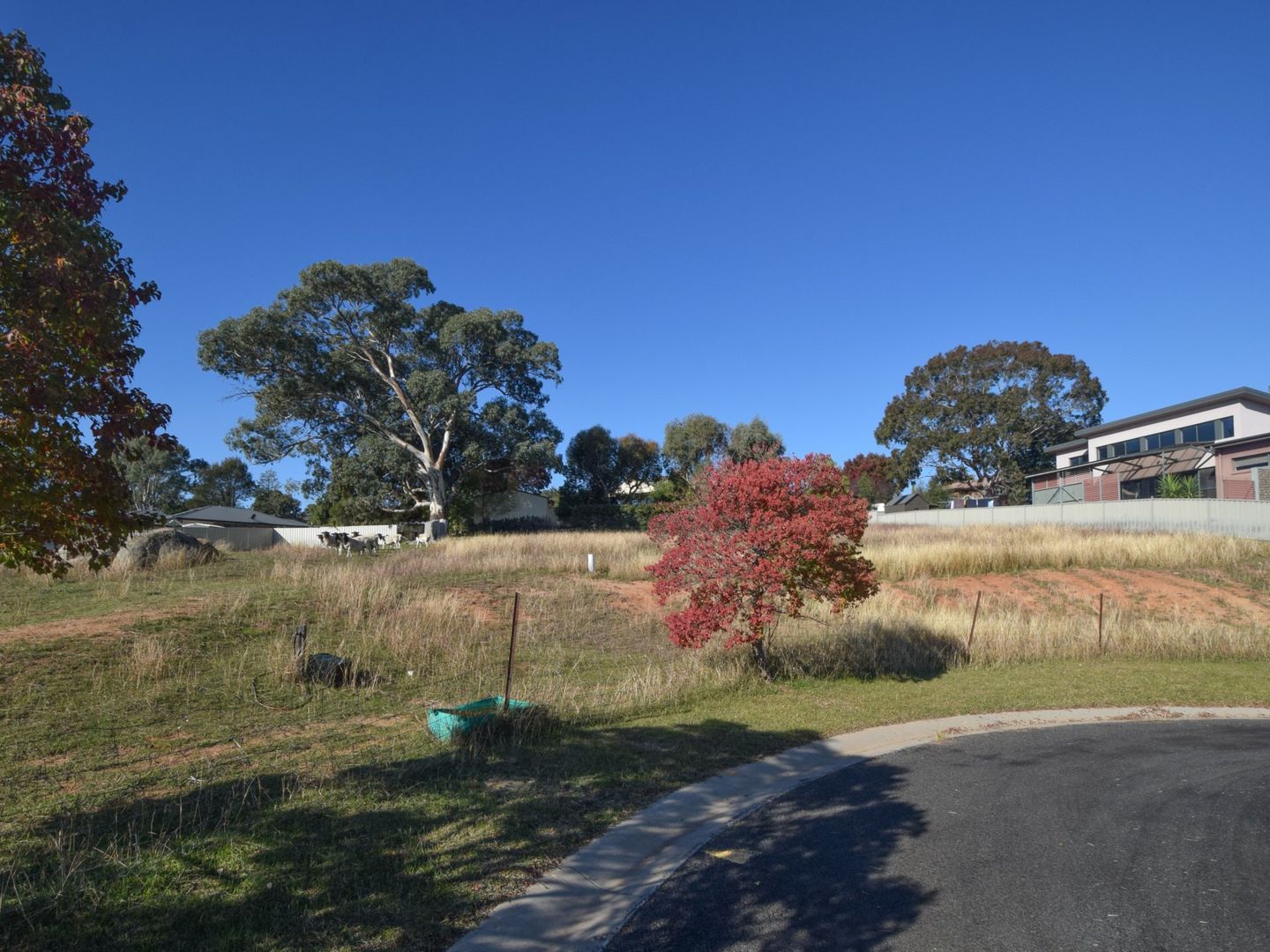 16 Bailes Crescent, Young NSW 2594, Image 1