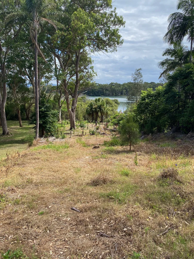 Image 6
