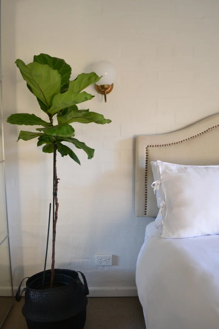 Additional image 14 of 2/21 Cemetery Road, Byron Bay NSW 2481