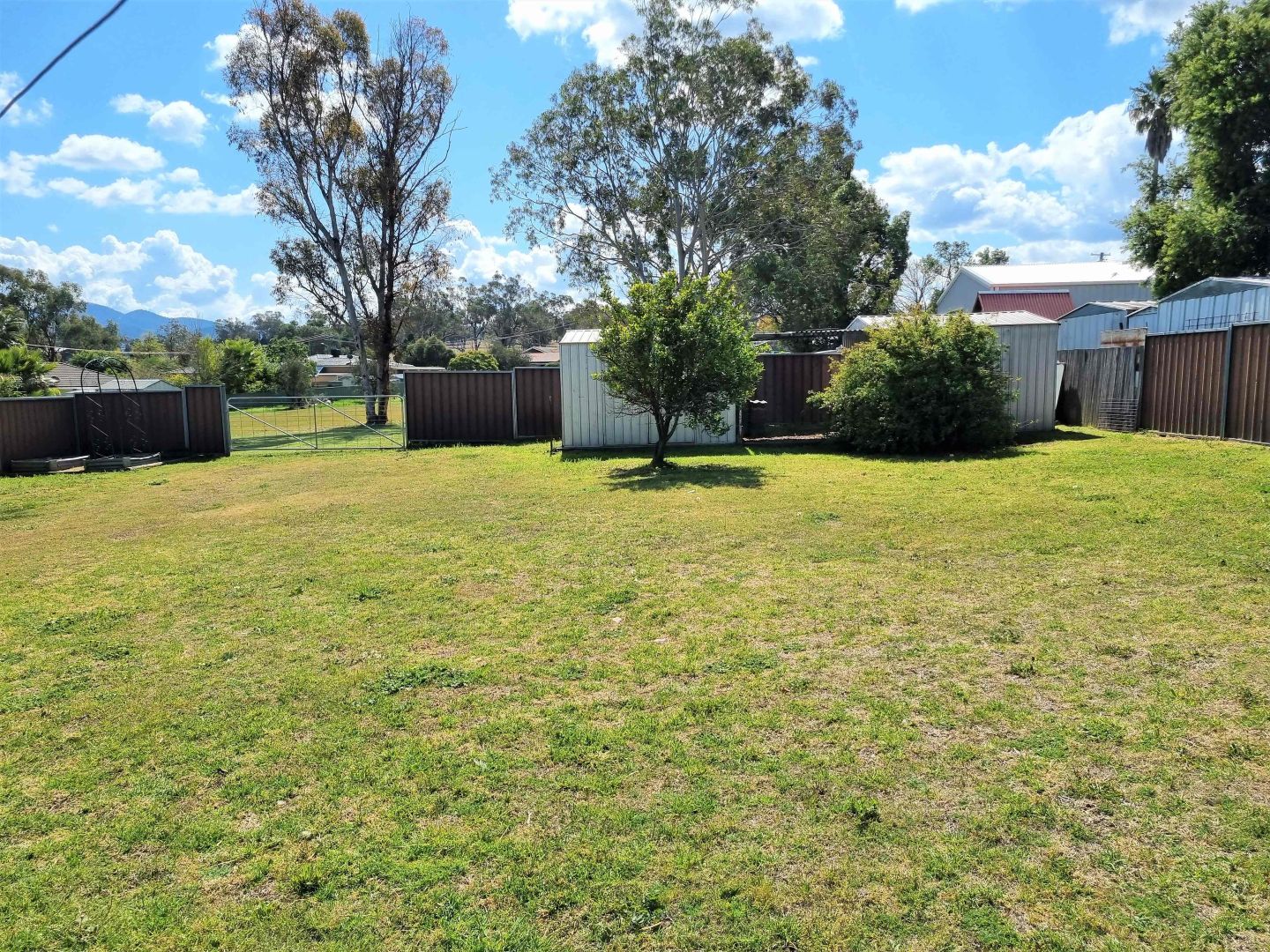 1 PRIVET ST, Kootingal NSW 2352, Image 1