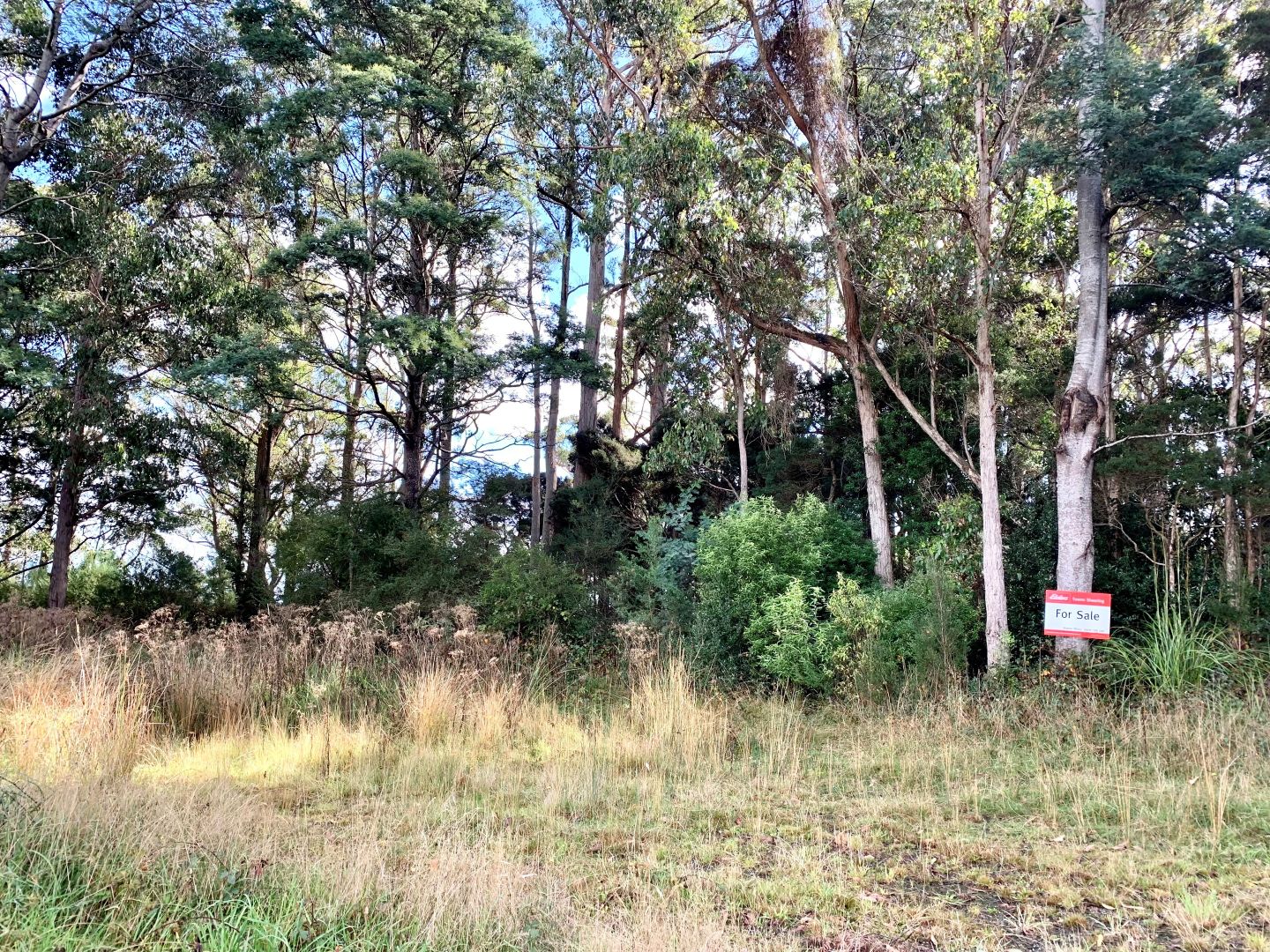 2 Bacala Road, Lilydale TAS 7268 House for Sale Domain