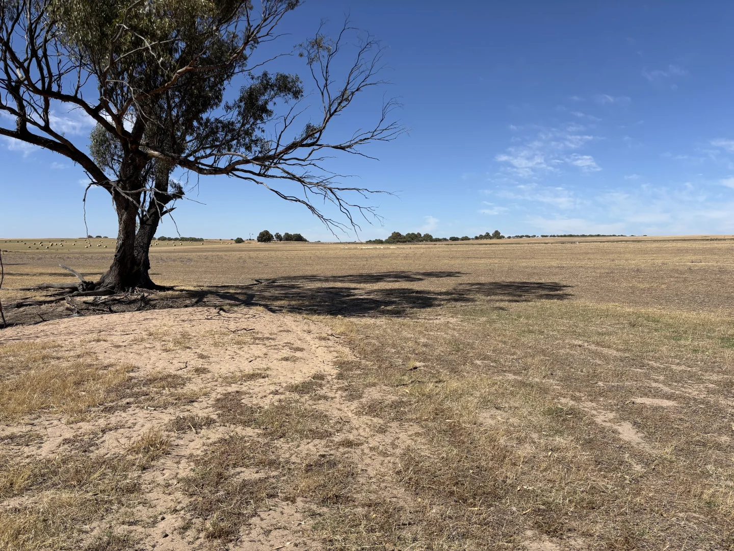 Image 15