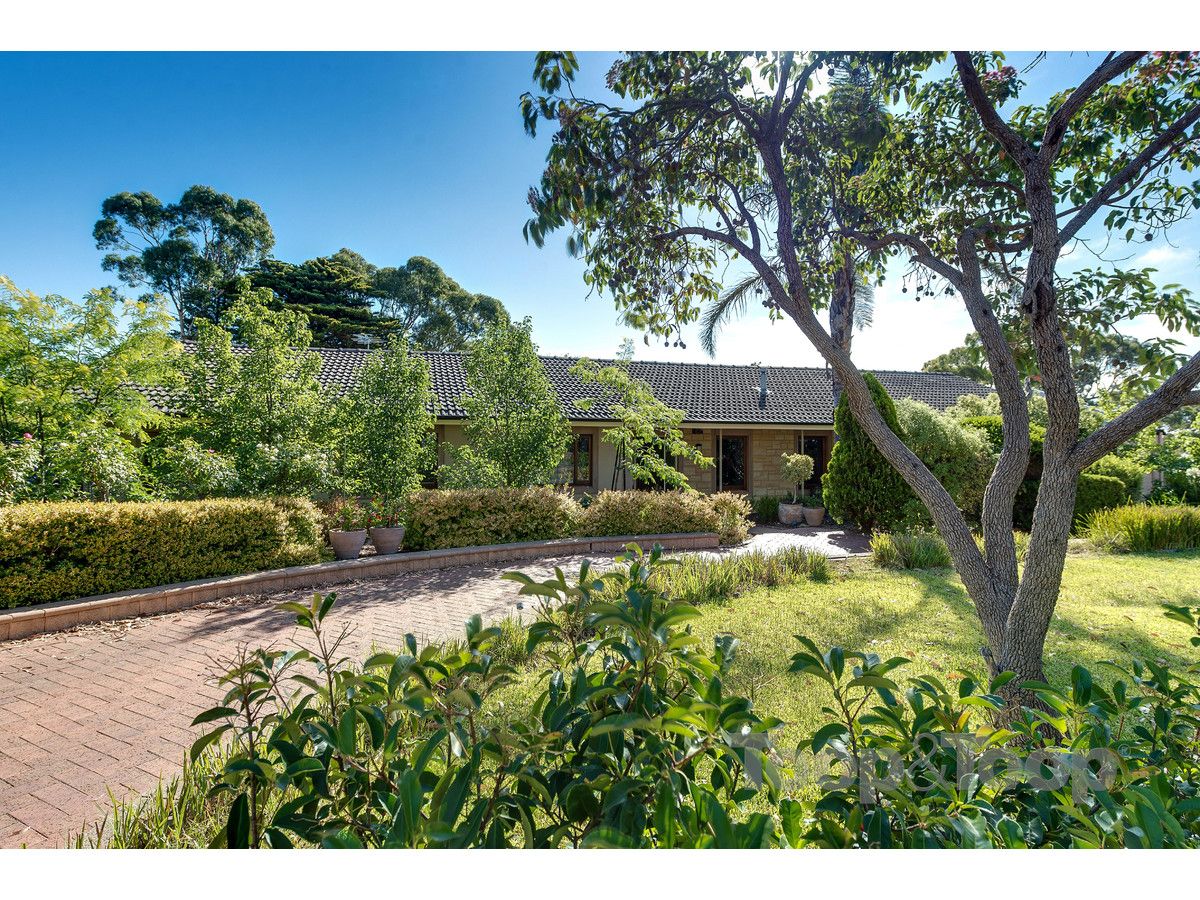 3 Kalyra Road, Belair SA 5052, Image 1