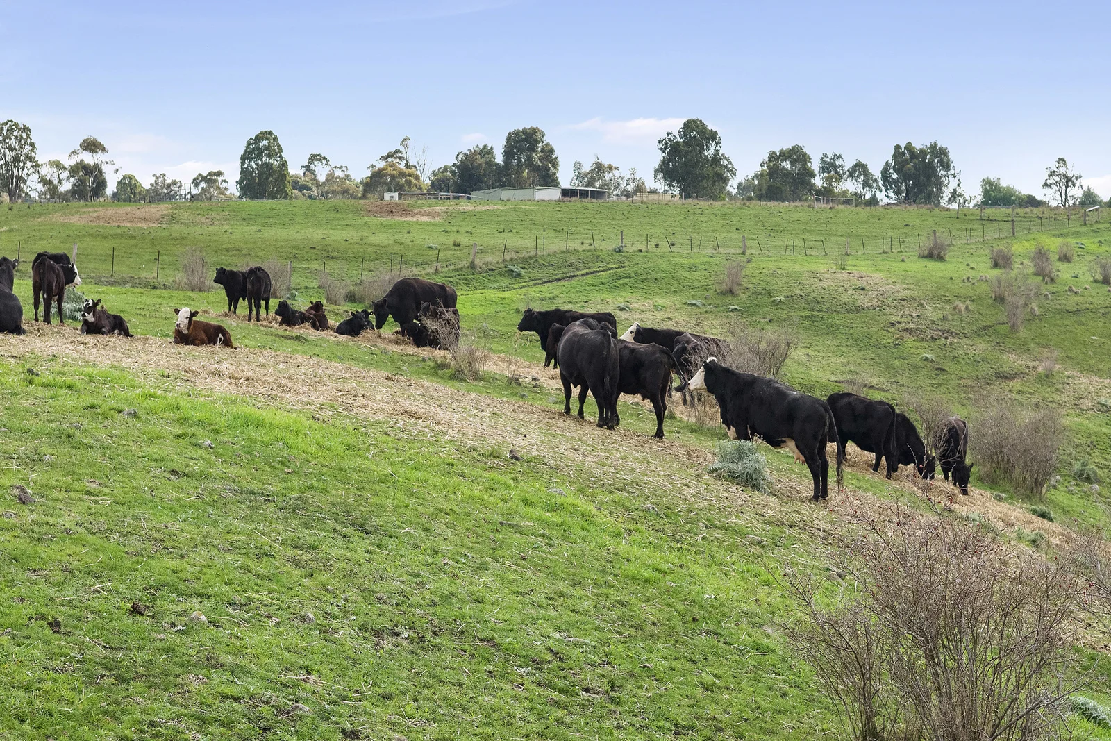 Additional image 11 of 190 Konagaderra Road, Oaklands Junction VIC 3063