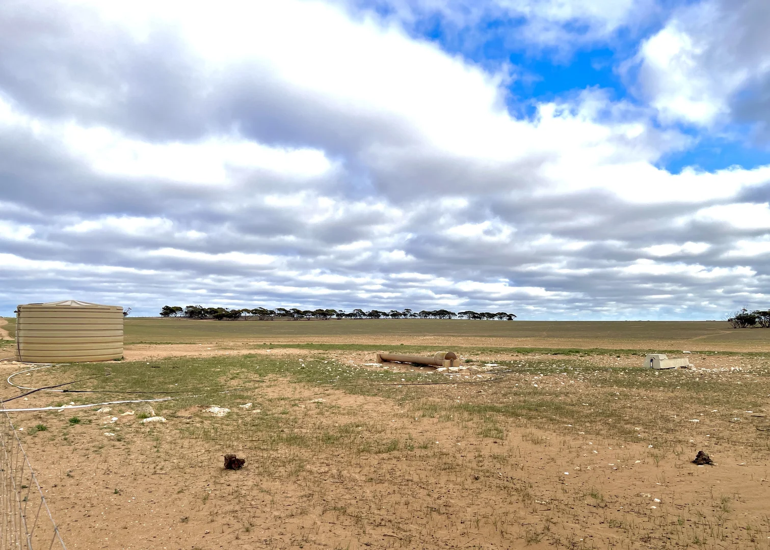 Image 11