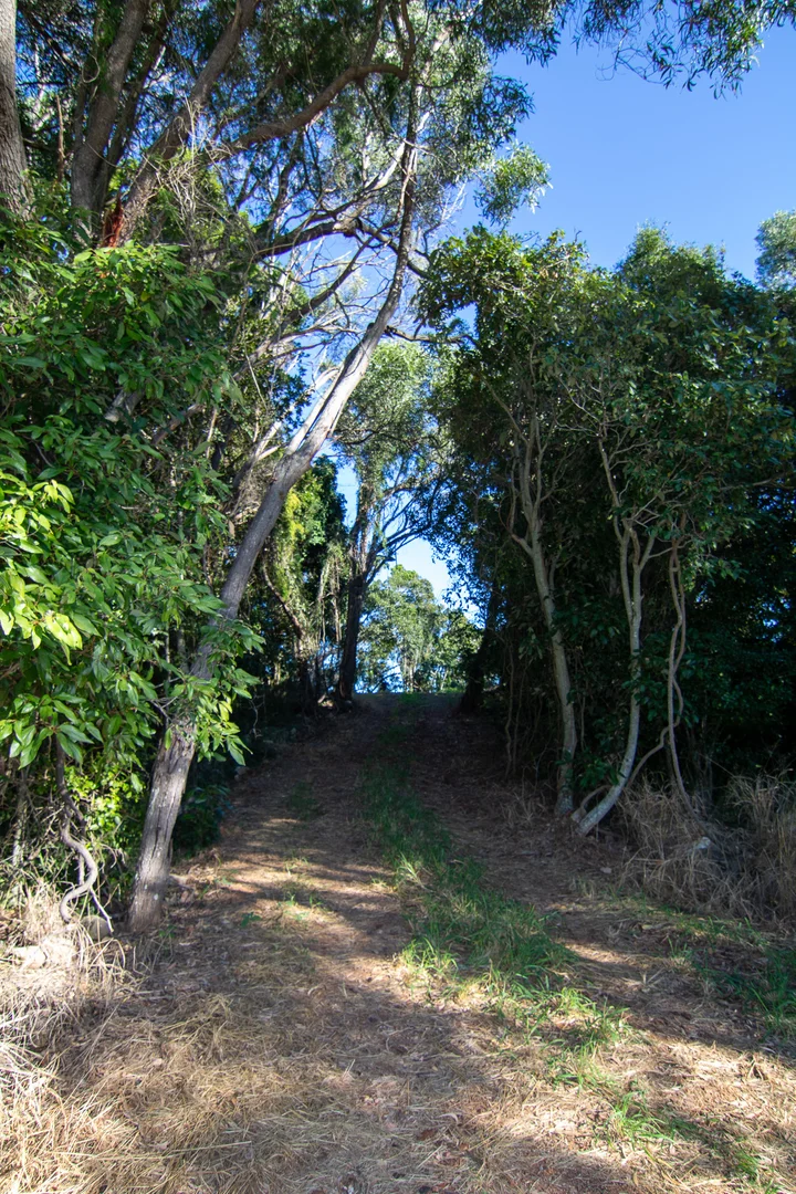 Image 27