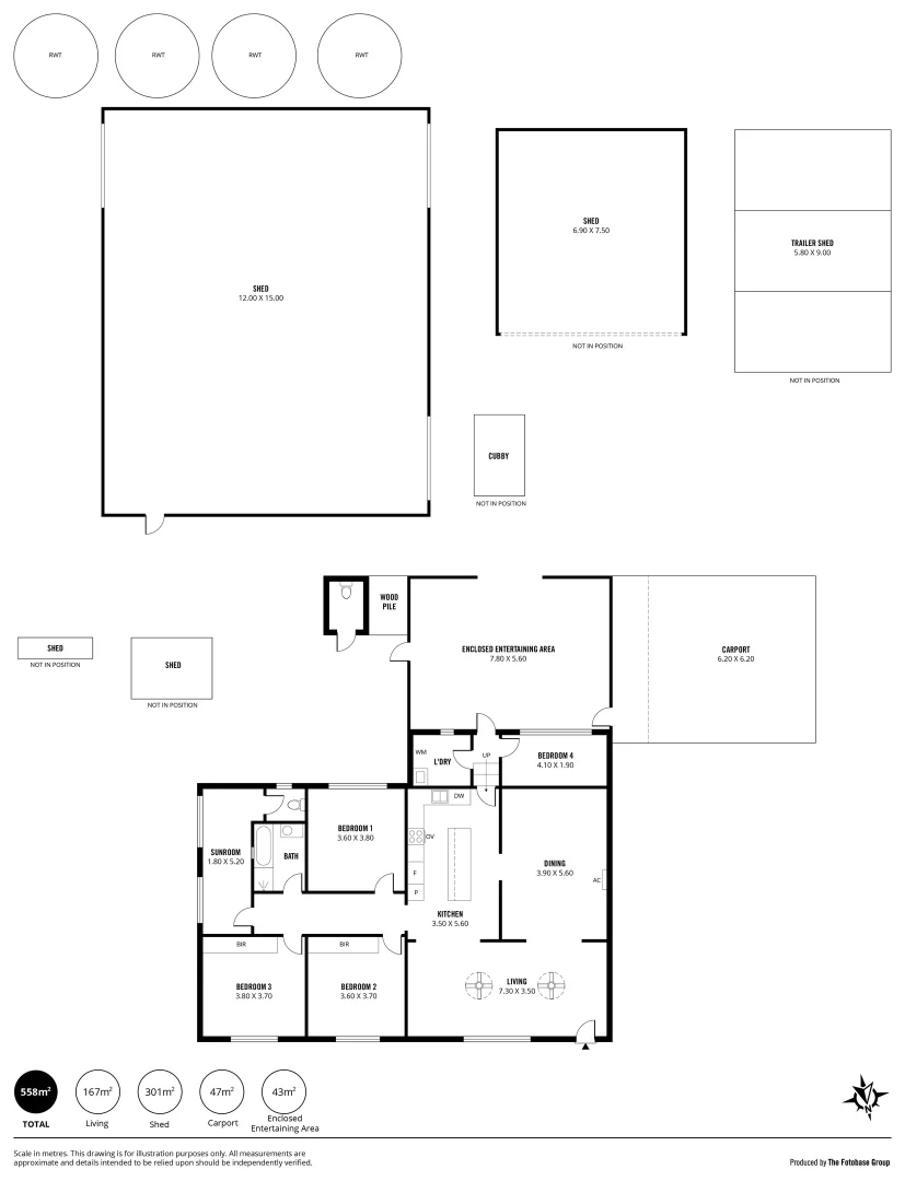 Image 12