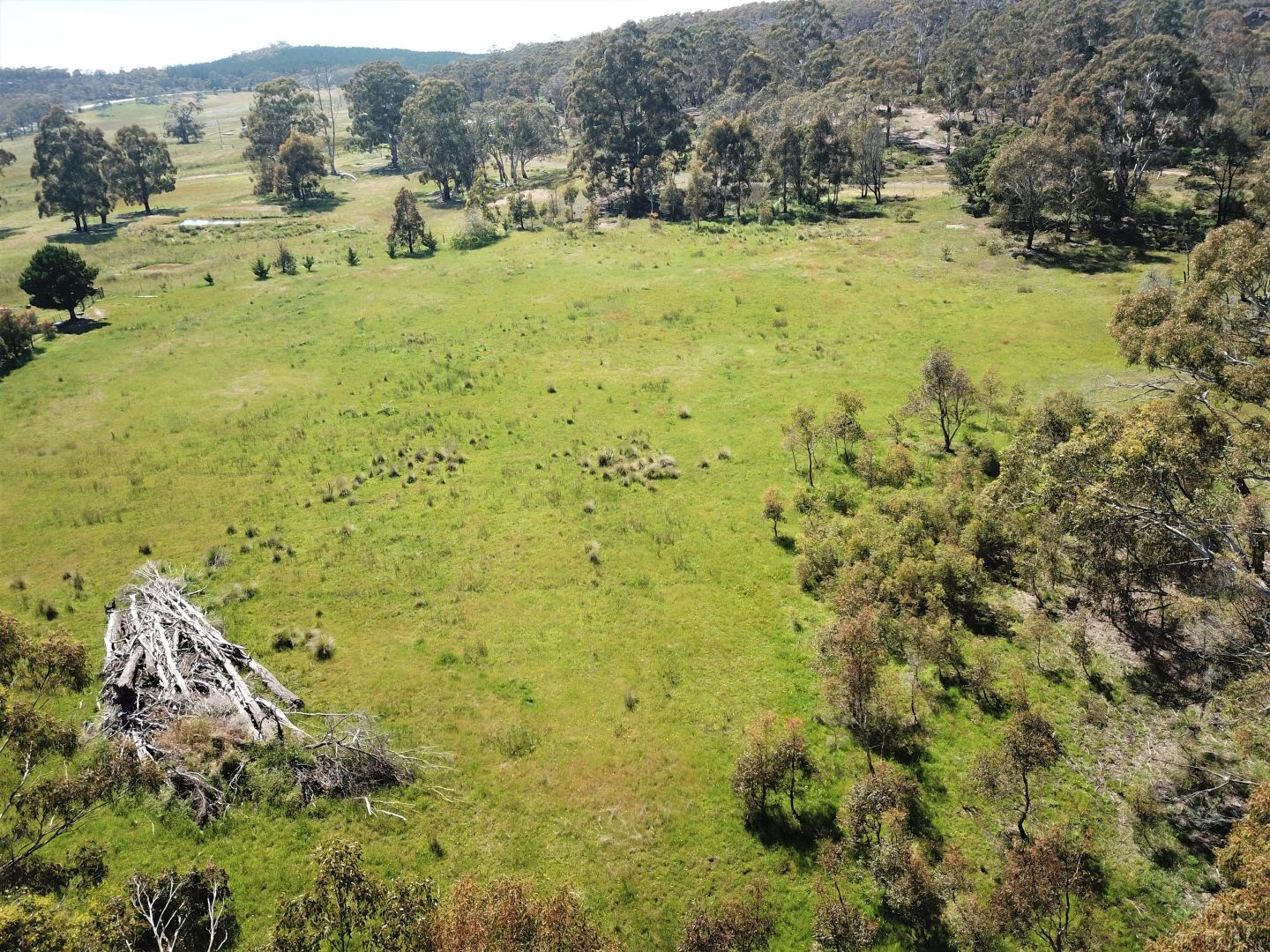 Lot 1 Hyde Street, Bombala NSW 2632, Image 2