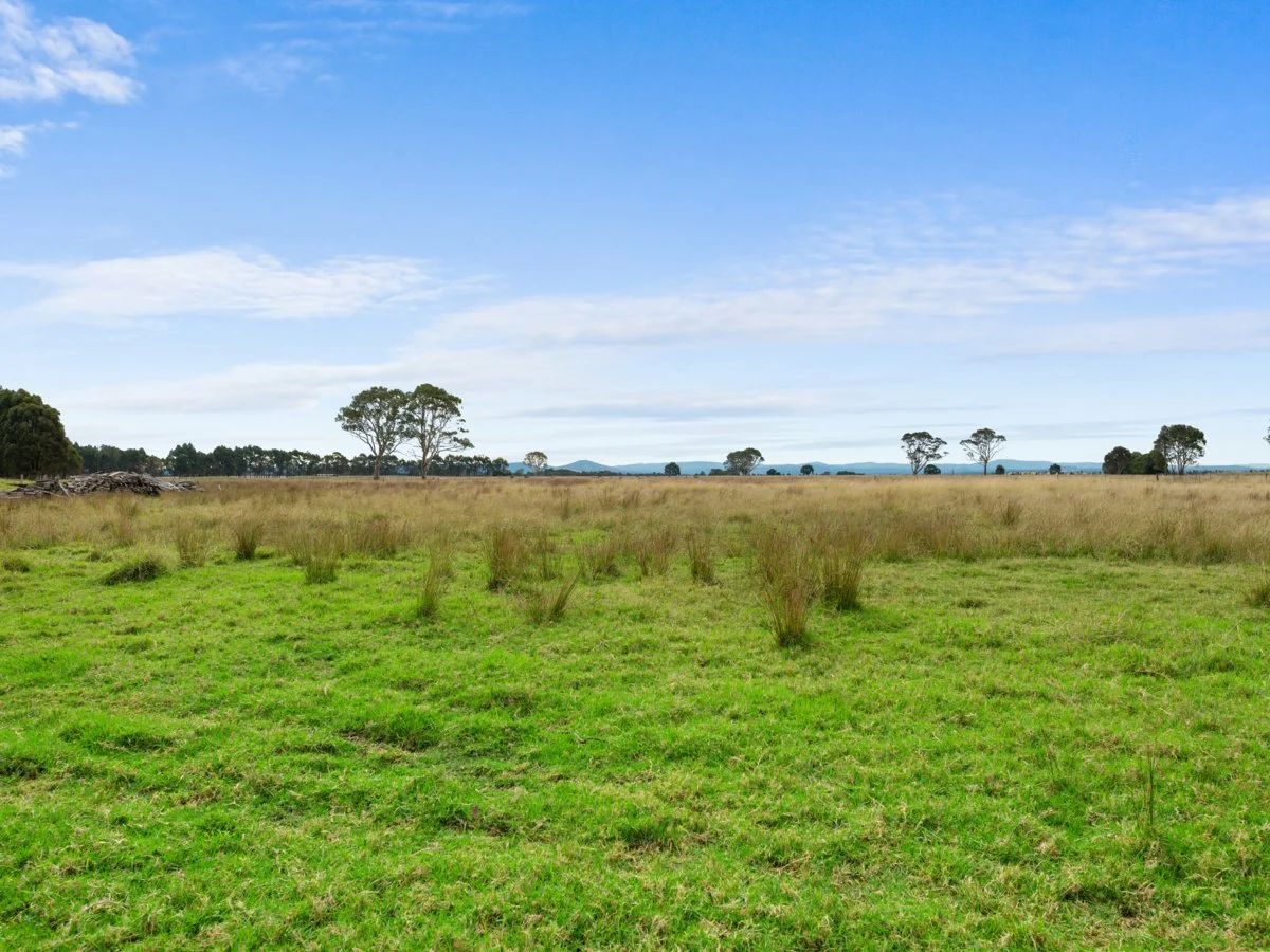 Image 18