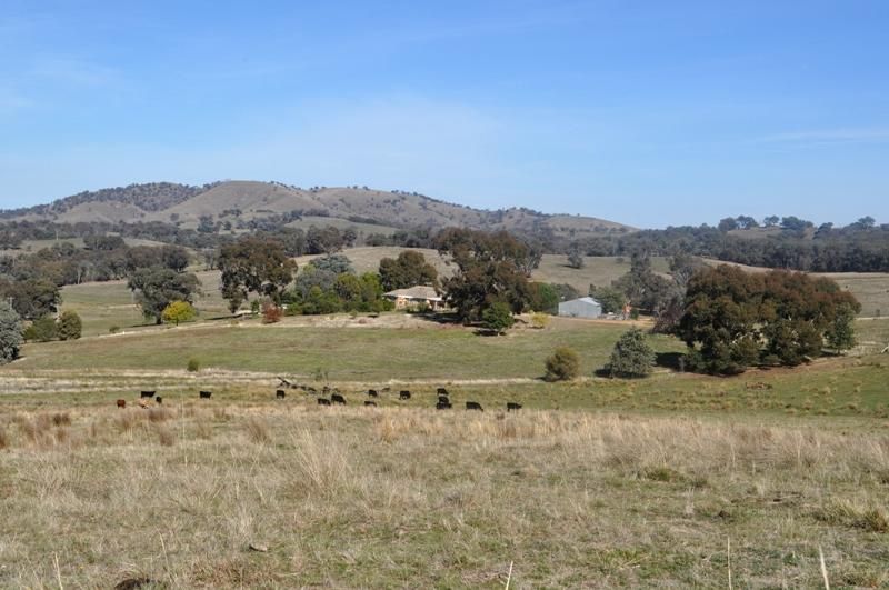 689 Mountain Creek Road, Mullengandra NSW 2644, Image 1