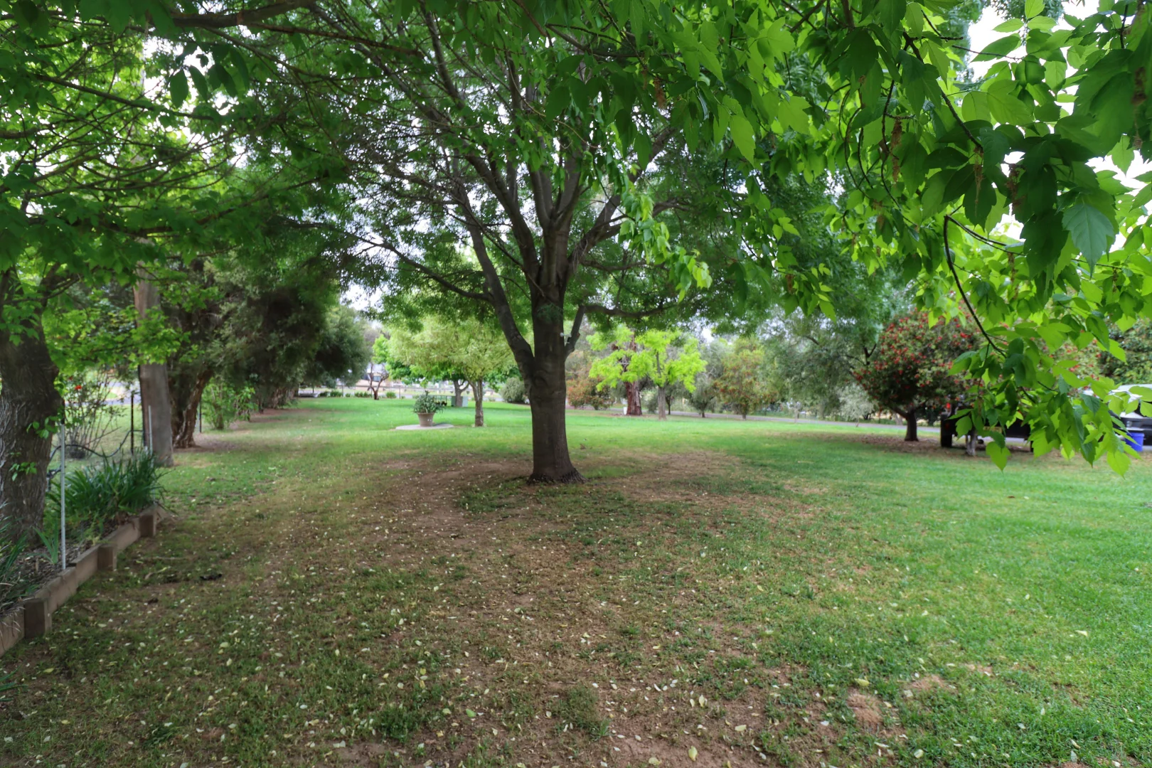Image 19