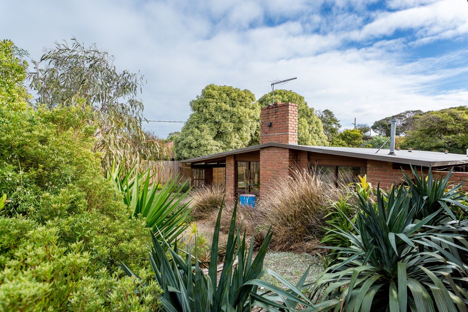 26 Winifred Grove, Blairgowrie VIC 3942, Image 0