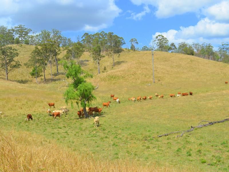 875 Grants Road, Bellthorpe QLD 4514, Image 0