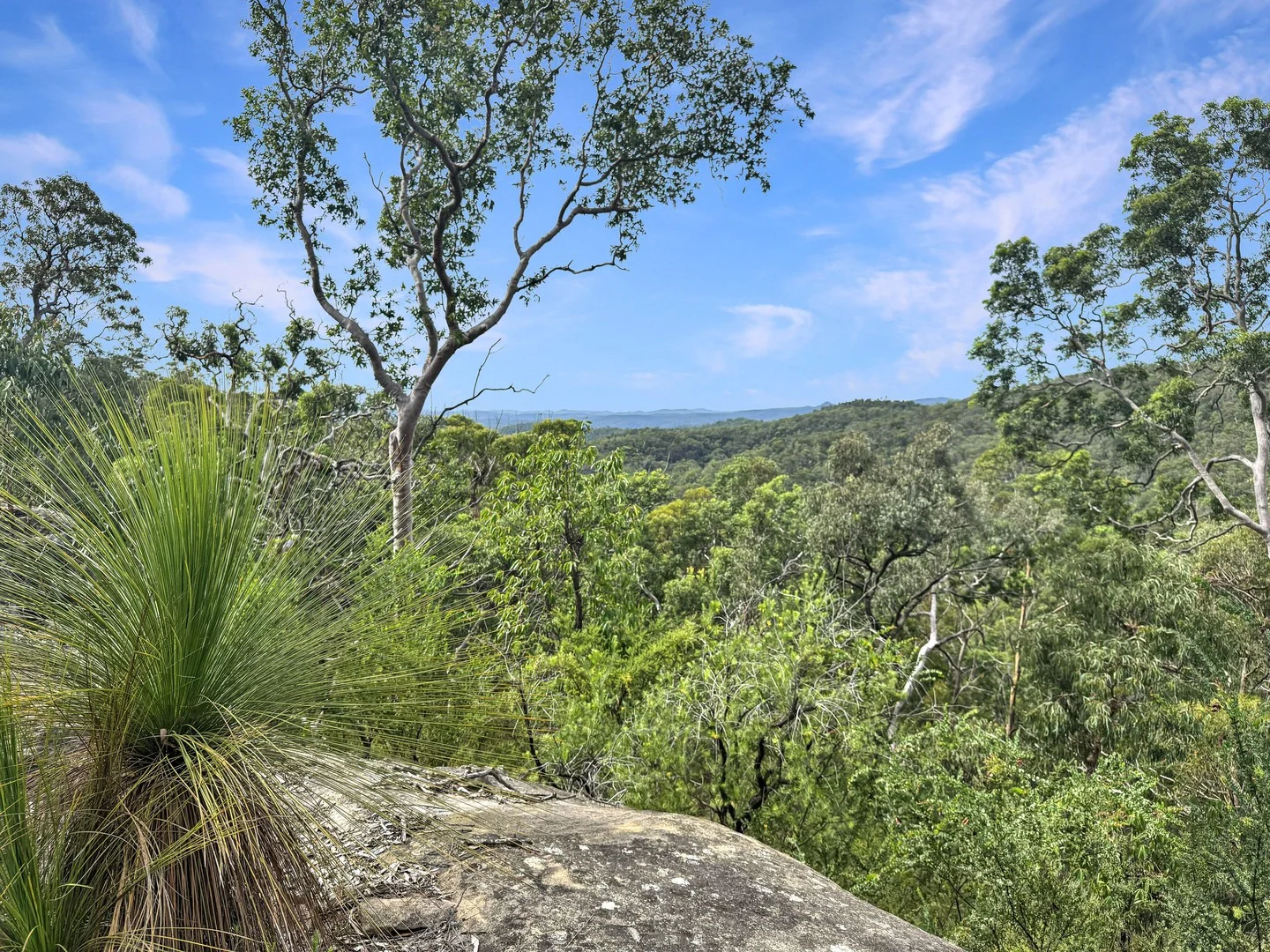 112 Finchley Track, Laguna NSW 2325