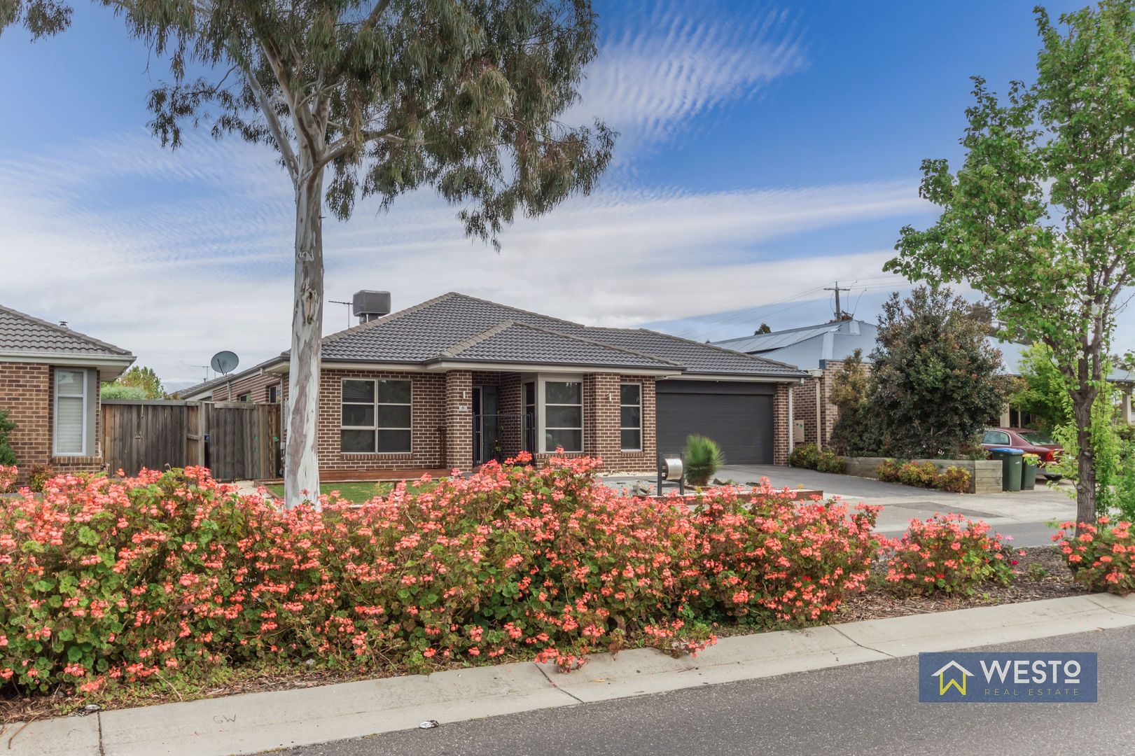 6 Tristania Drive, Point Cook VIC 3030 House For Rent Domain