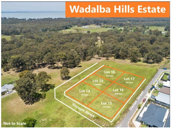 Lot 19 Wadalba Hills Estate, Wadalba NSW 2259, Image 0