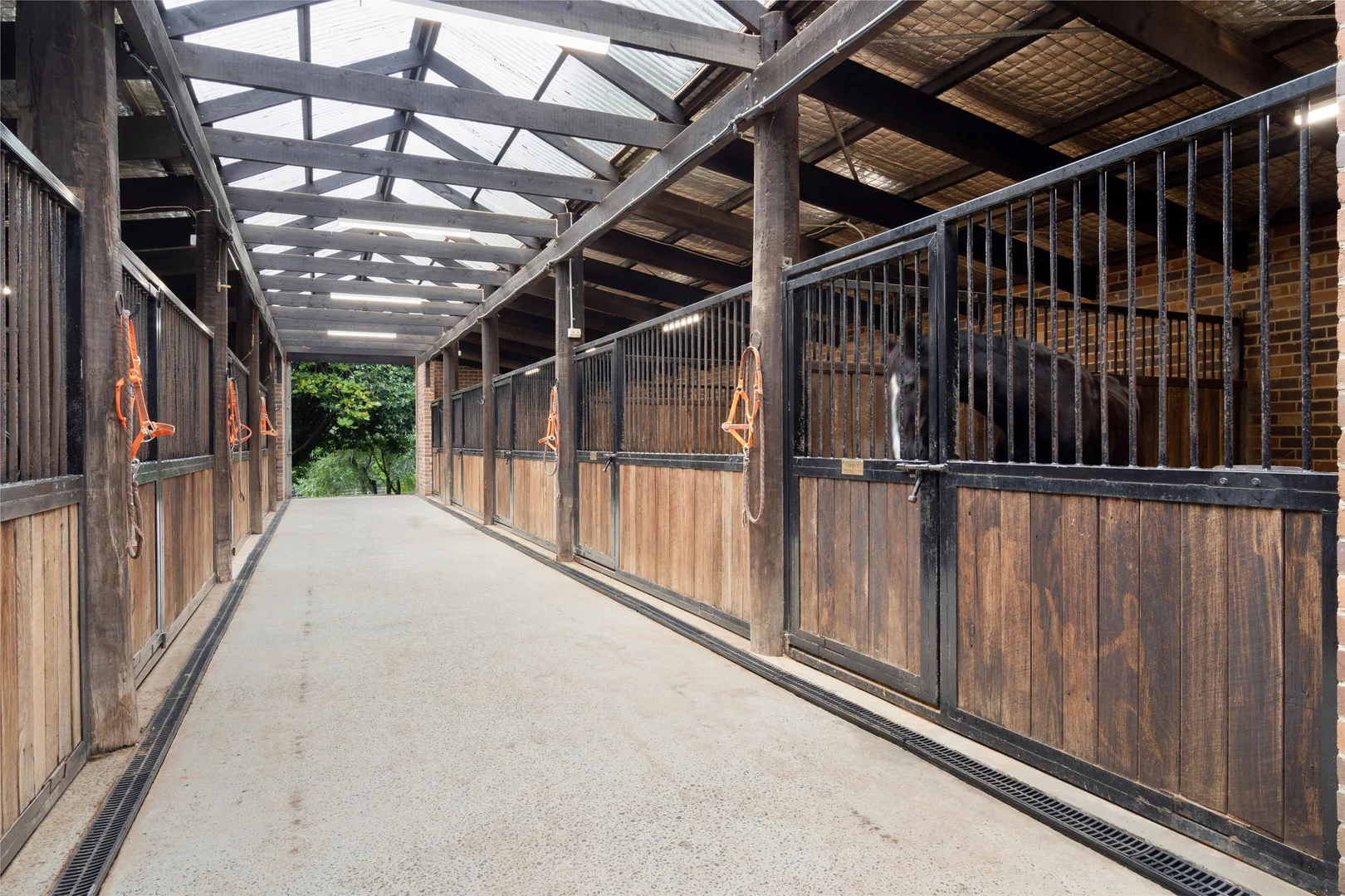 Additional image 18 of 101 Pearsons Lane, Robertson NSW 2577