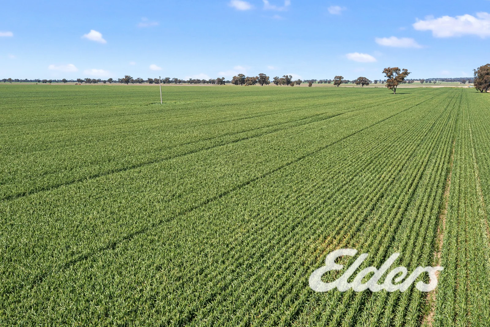 Additional image 26 of 235 Clearview Road, Savernake NSW 2646