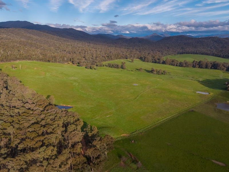 Coopers Track, King Valley VIC 3678, Image 1