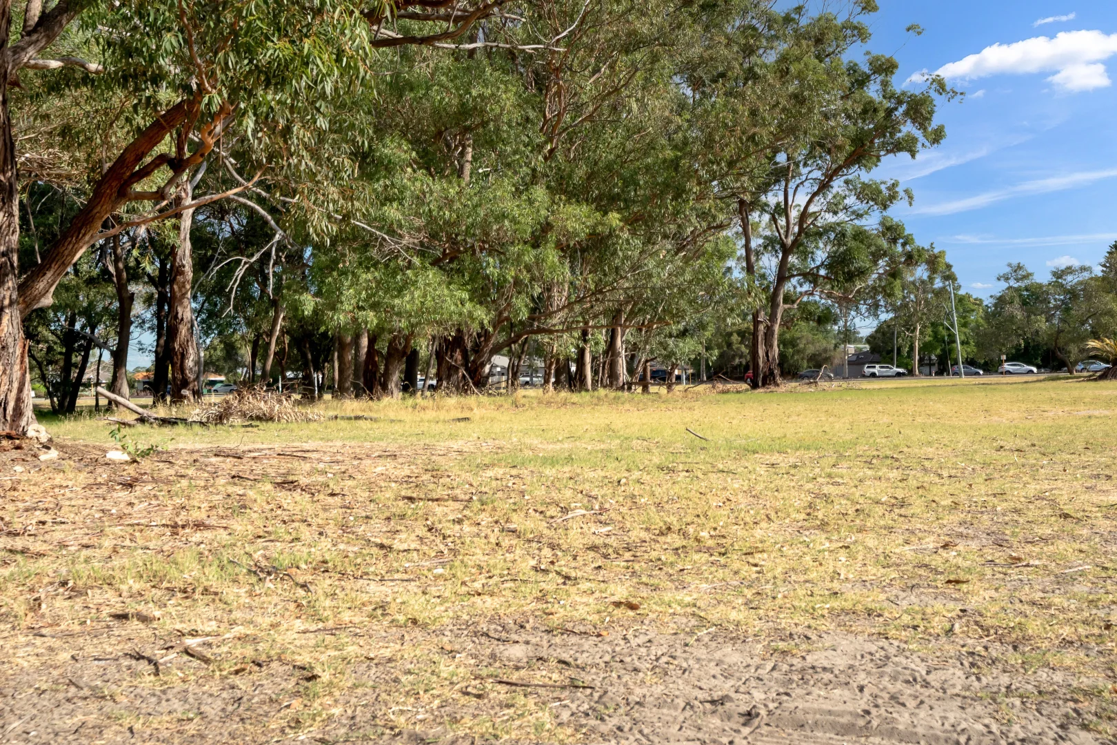 Image 18