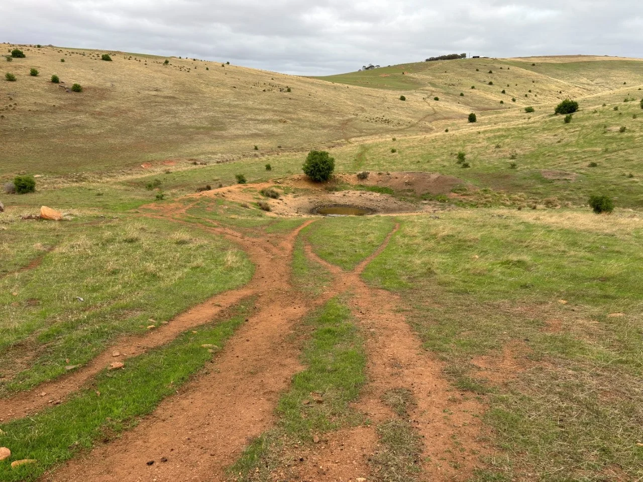 Additional image 8 of Lot 42 Harvey Well Road, Tumby Bay SA 5605