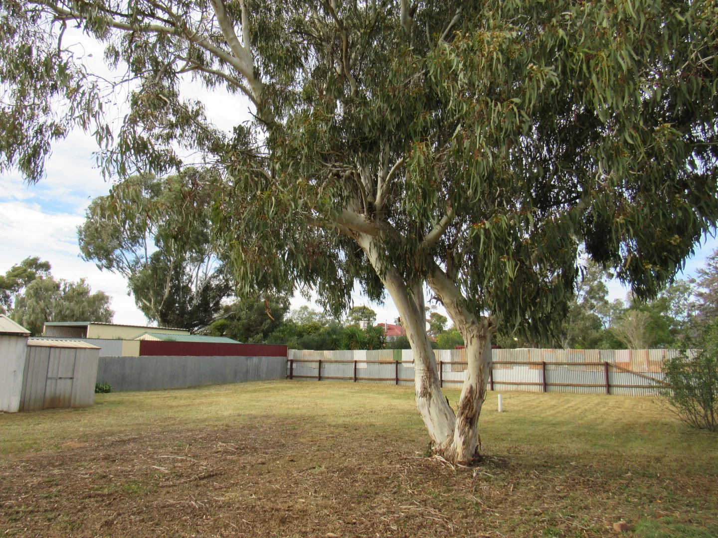 Image 15