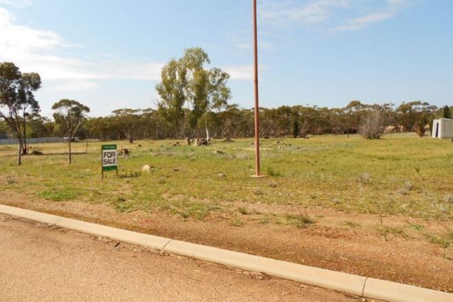 Picture of 104 & 106 Parkes Street, BURRACOPPIN WA 6421