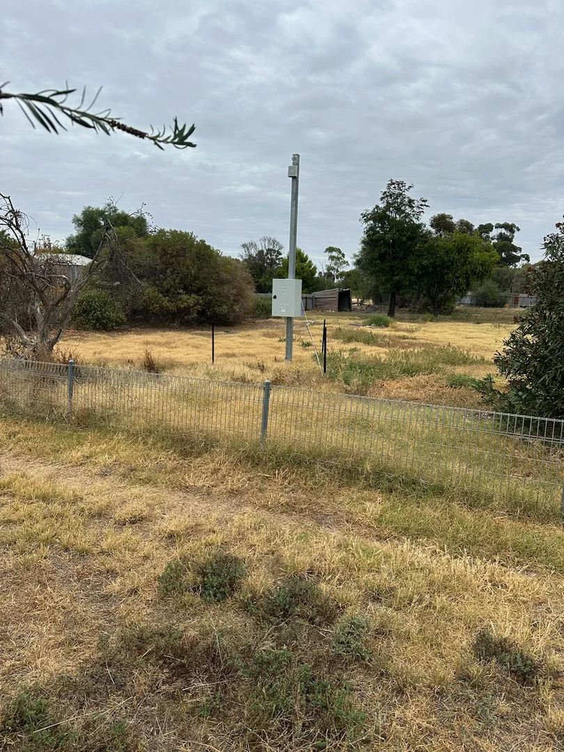 Image 12