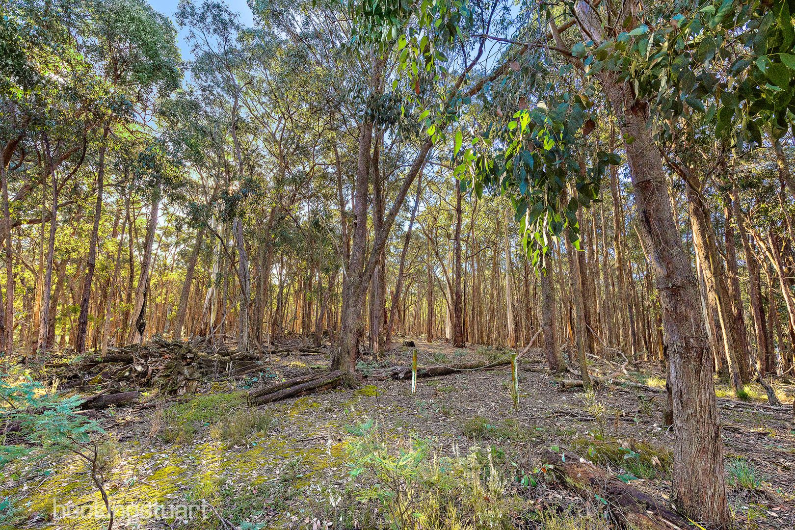 100 Wallaby Road, Wheatsheaf VIC 3461, Image 1