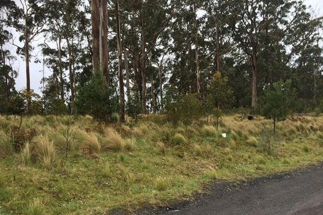 Picture of Lot 1 Braidwood Road, SASSAFRAS NSW 2622