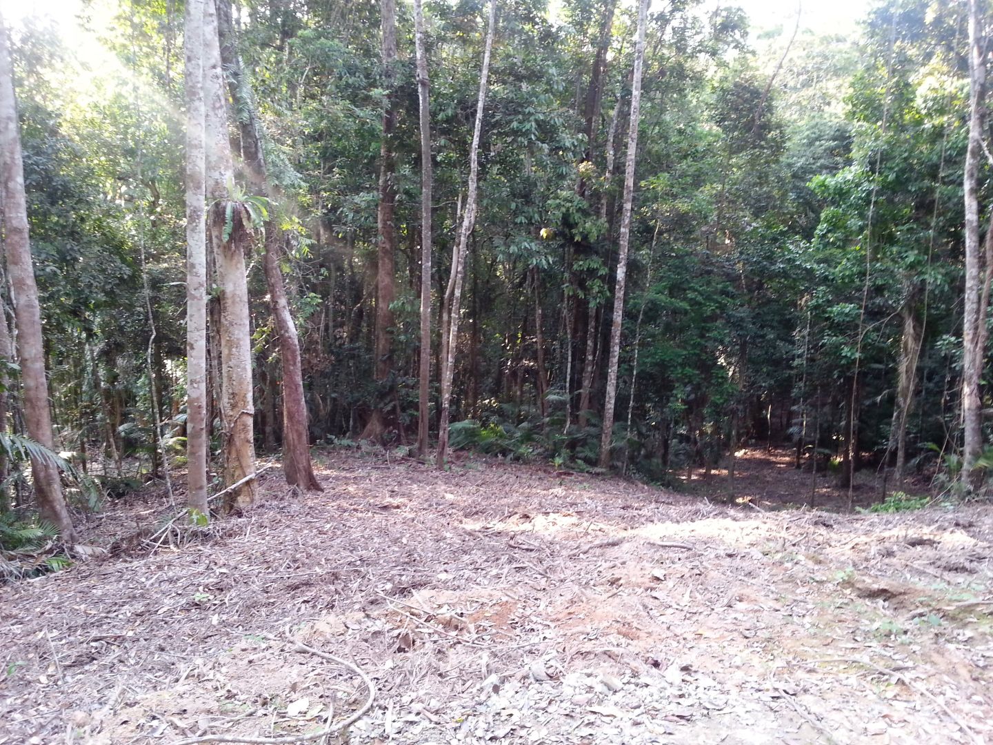 Lot 12 Whipbird Close, Speewah QLD 4881, Image 2