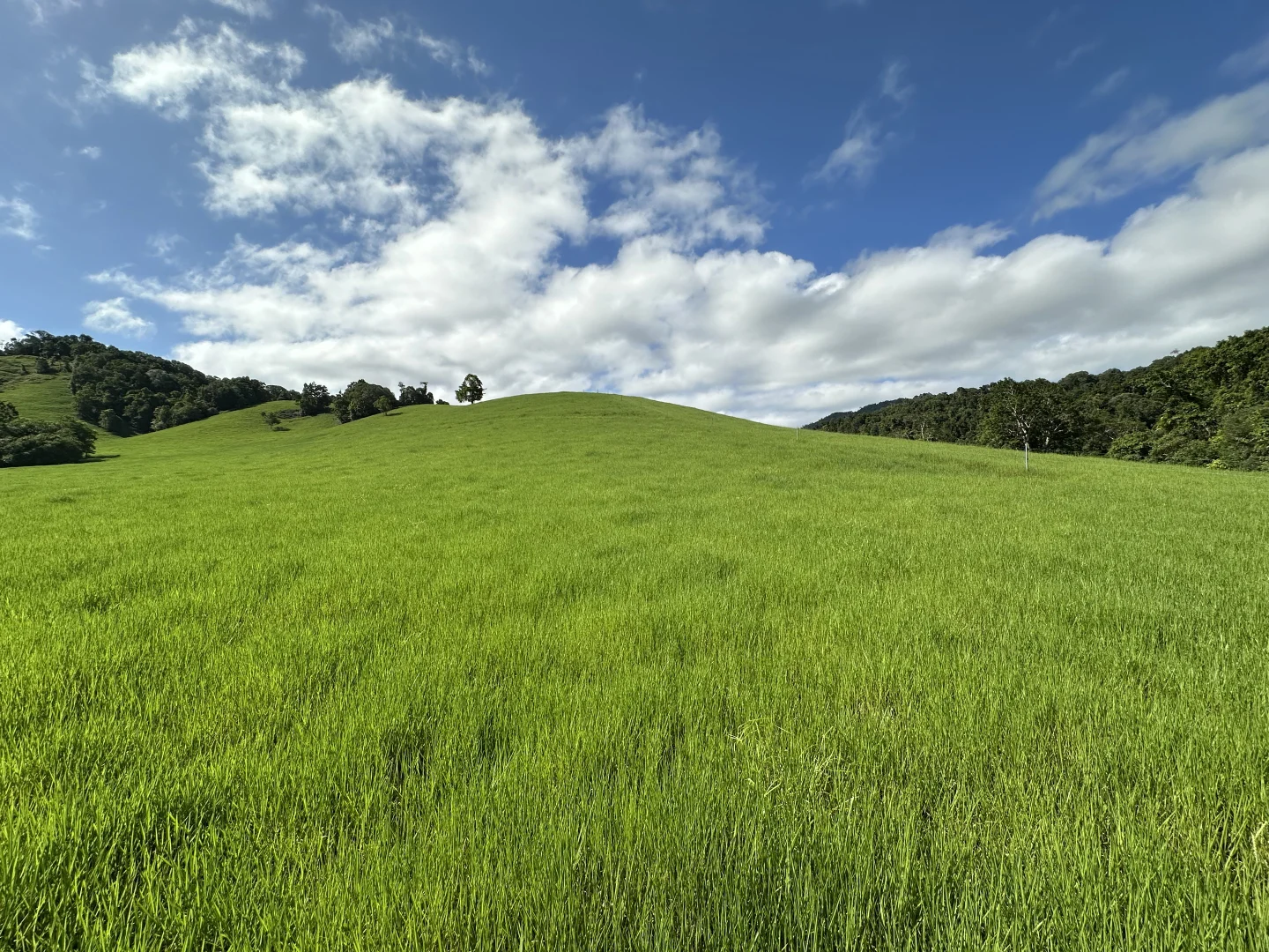 Image 25