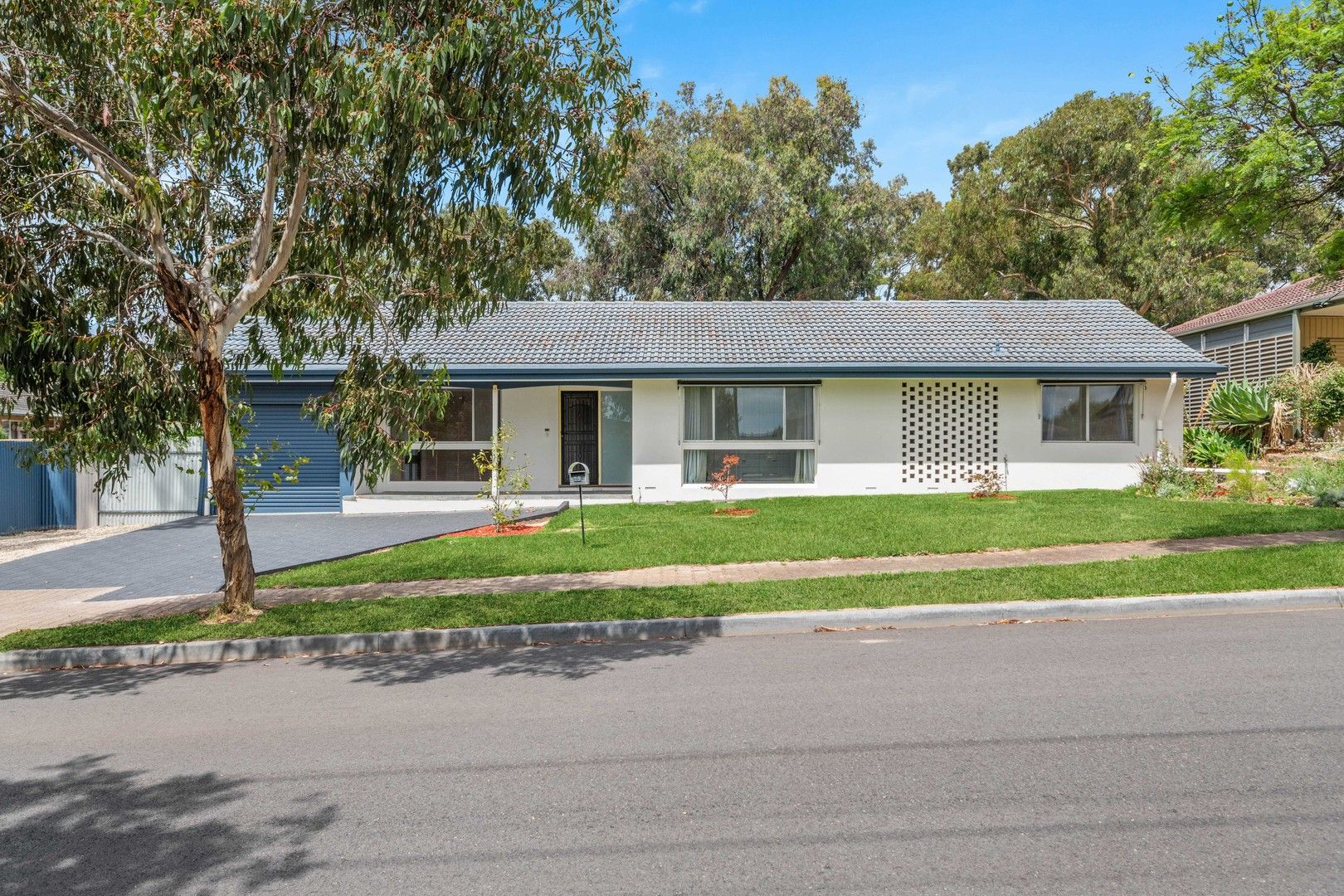 75 Cashel Street, Pasadena SA 5042, Image 0