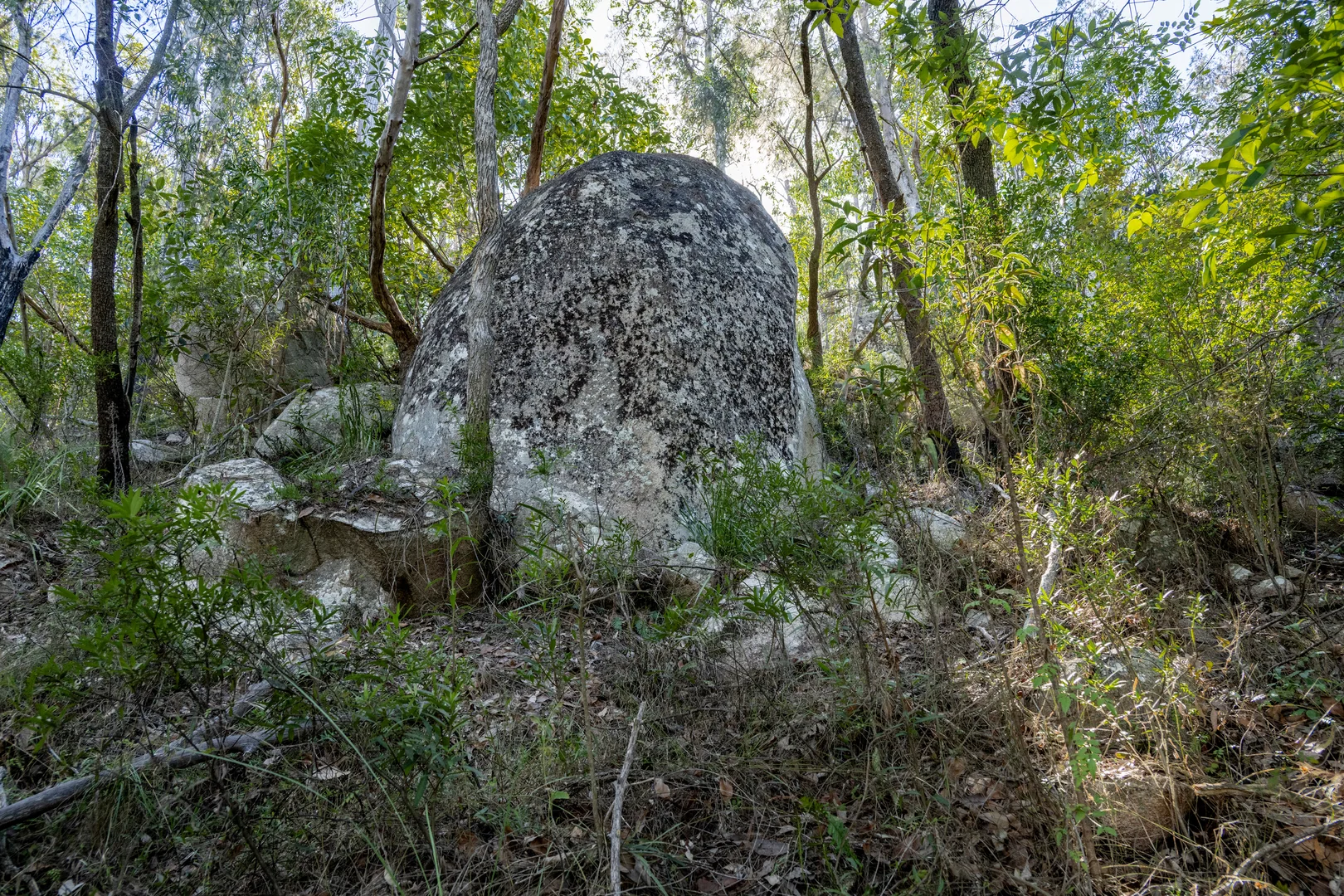 Image 8