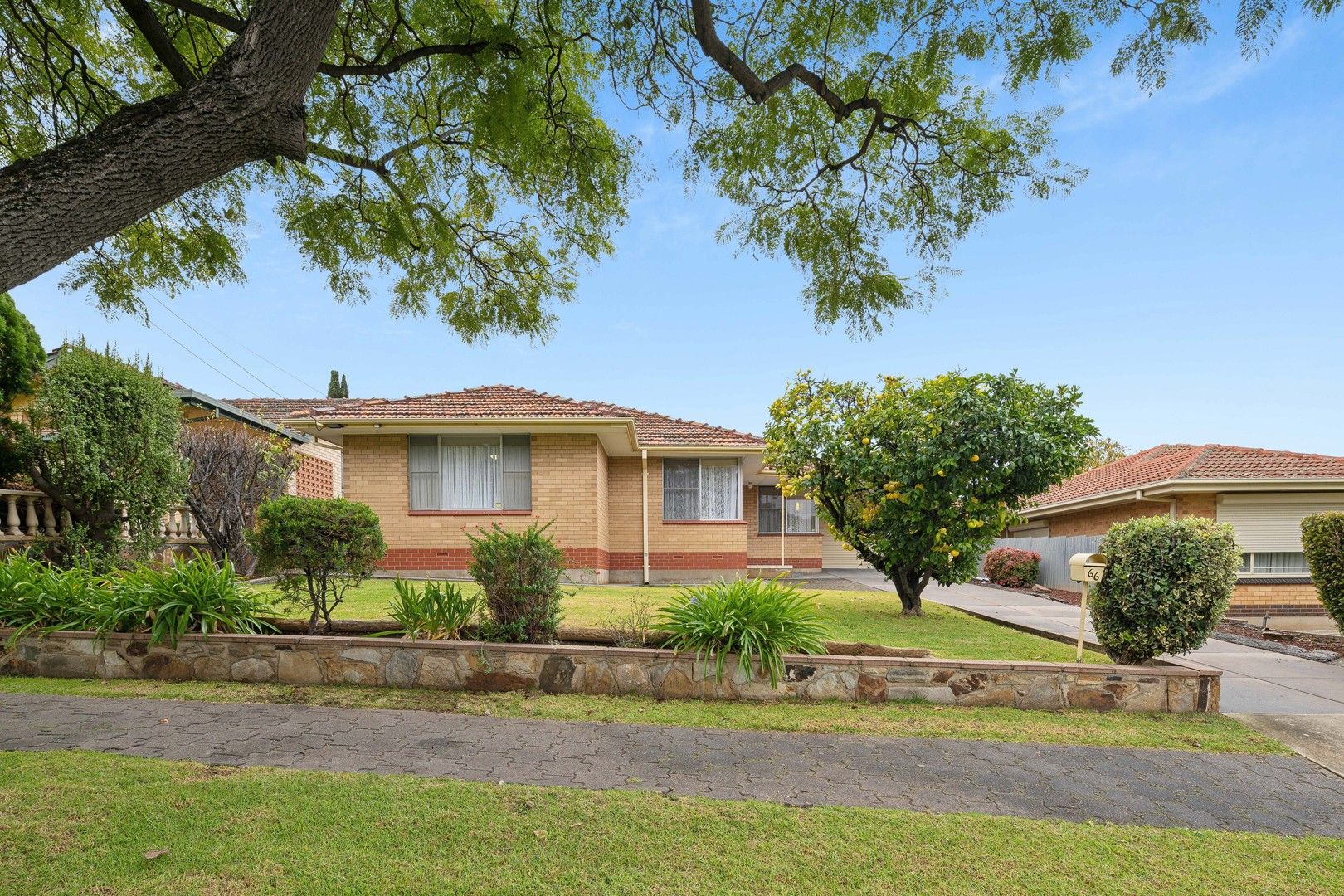 66 Windsor Grove, Windsor Gardens SA 5087, Image 0