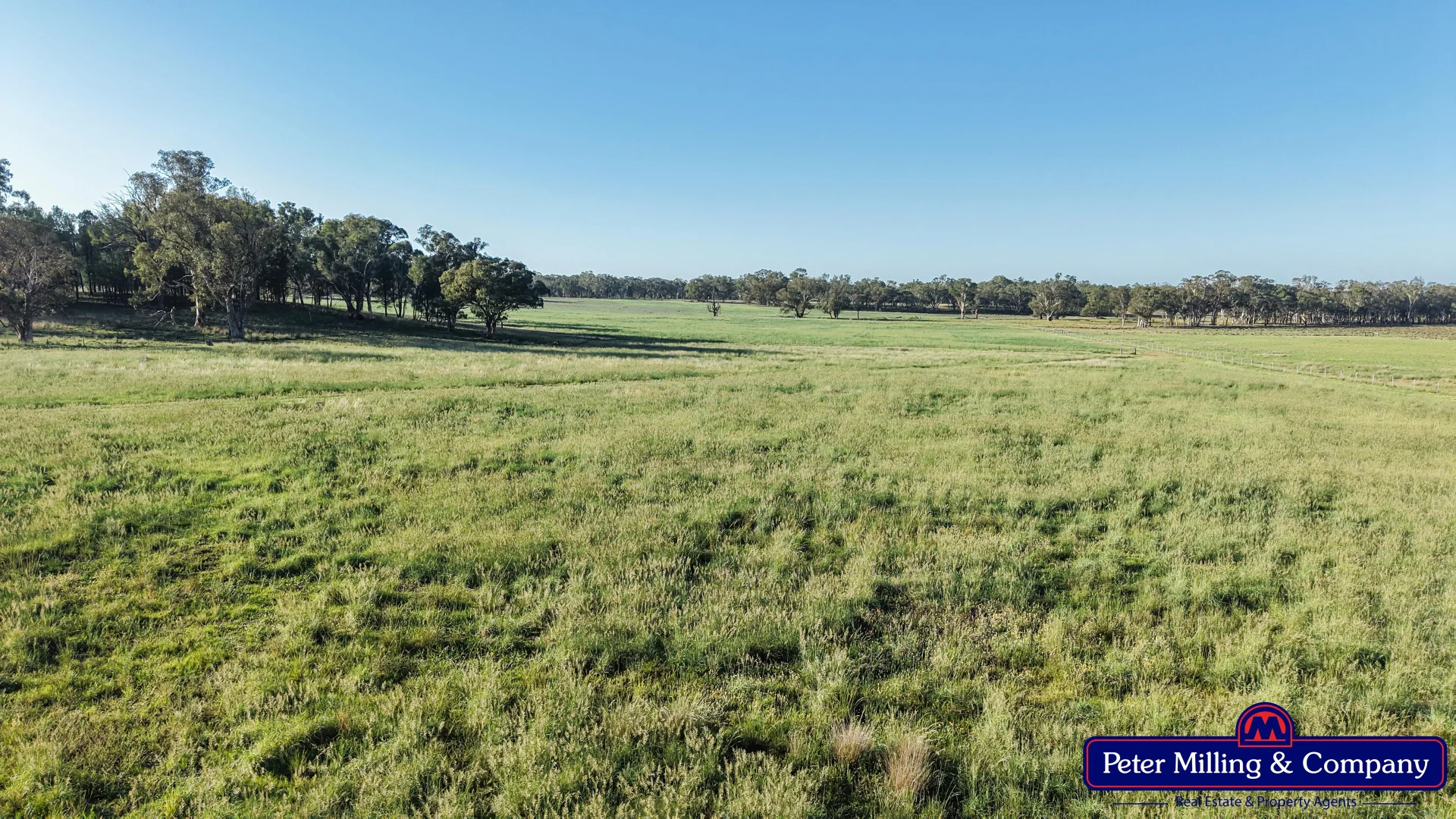 Additional image 8 of 59 Piambra Road, Binnaway NSW 2395
