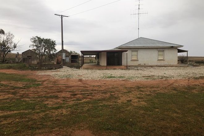 Picture of 929 Plains Road, AUSTRALIA PLAINS SA 5374