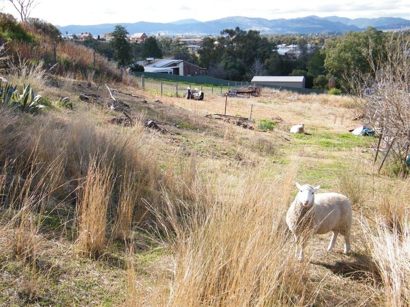 Lot 12 Church Street, Quirindi NSW 2343, Image 2