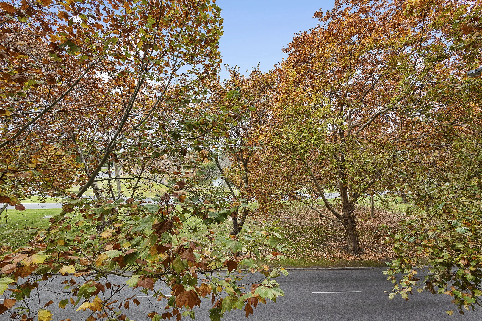 Image 15