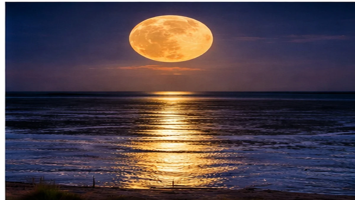 14 Cable Beach Road West, Cable Beach WA 6726