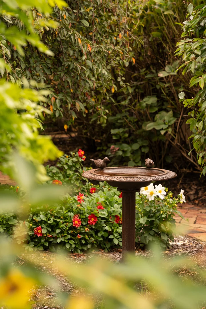 Additional image 14 of 6 Oaklands Road, Hazelbrook NSW 2779