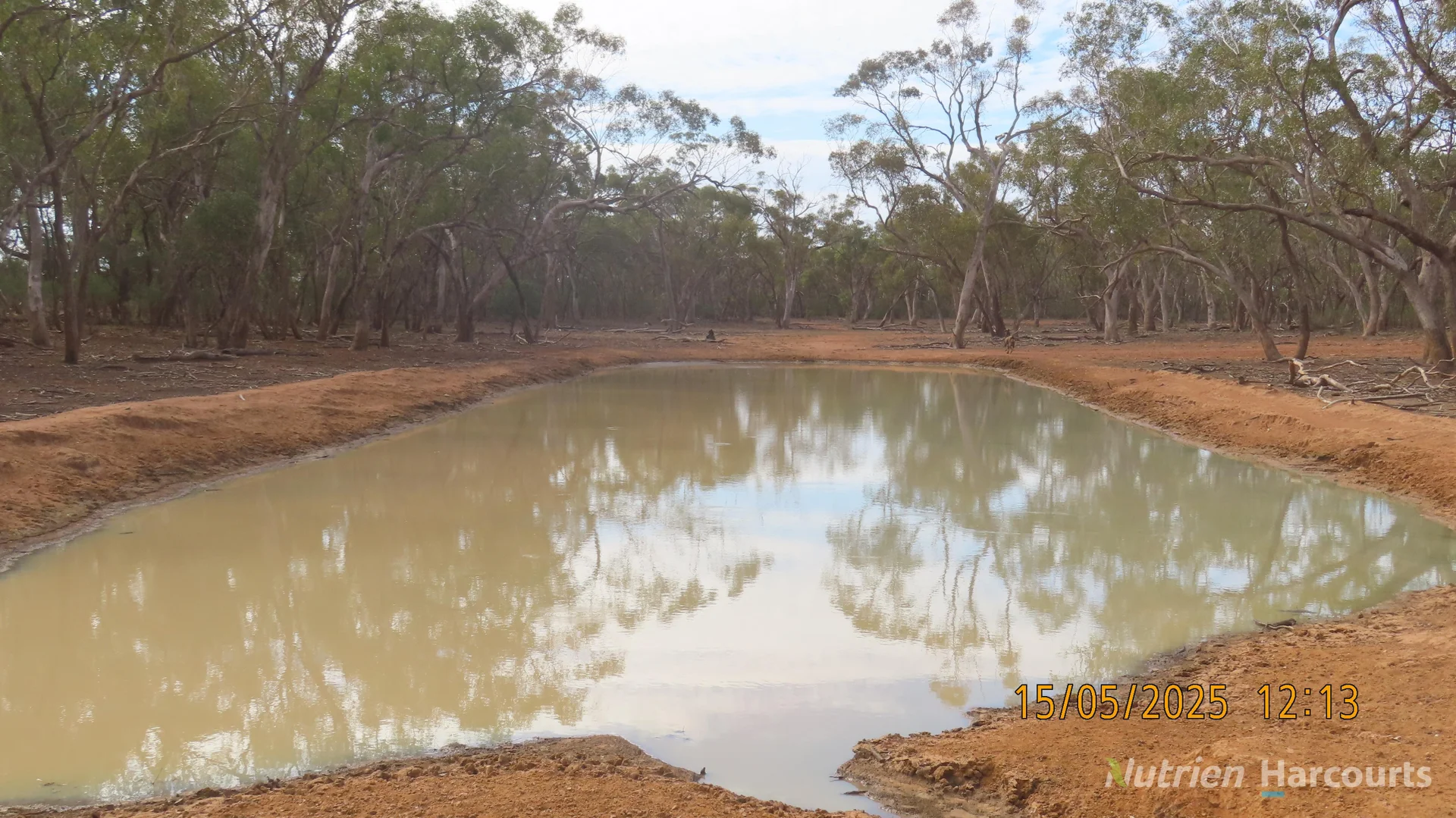 Additional image 12 of * CABLE DOWNS, Cobar NSW 2835