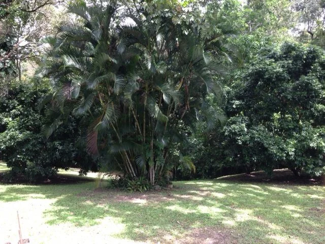 Image 14