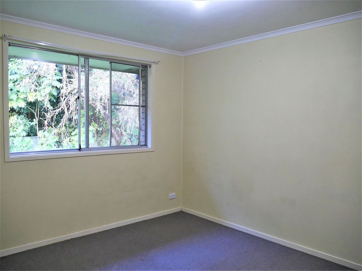 4/75 Leycester Street, Lismore NSW 2480 Apartment For Rent Domain